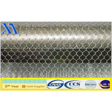 Best Selling! Hexagonal Wire Mesh for Agriculture